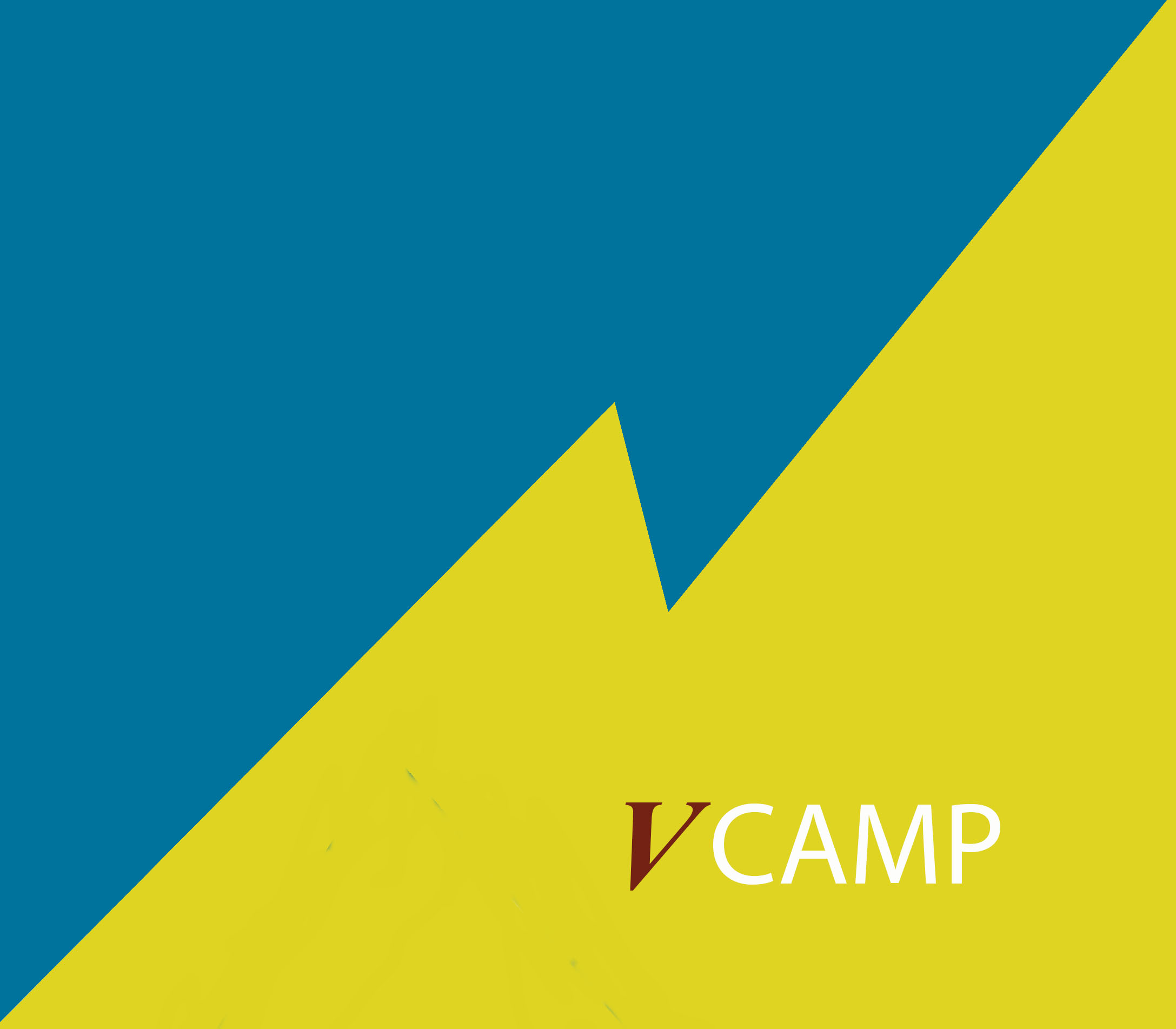 Logo della ricerca VCamp