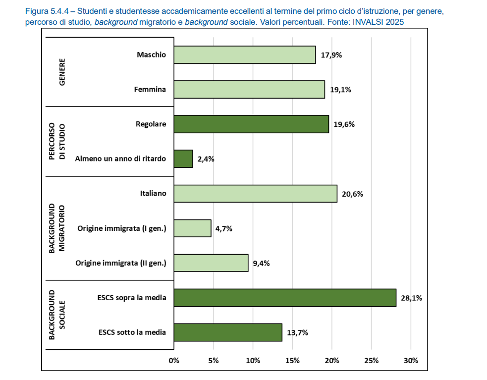 Grafico: eccellenza accademica per genere, migrazione, sociale.